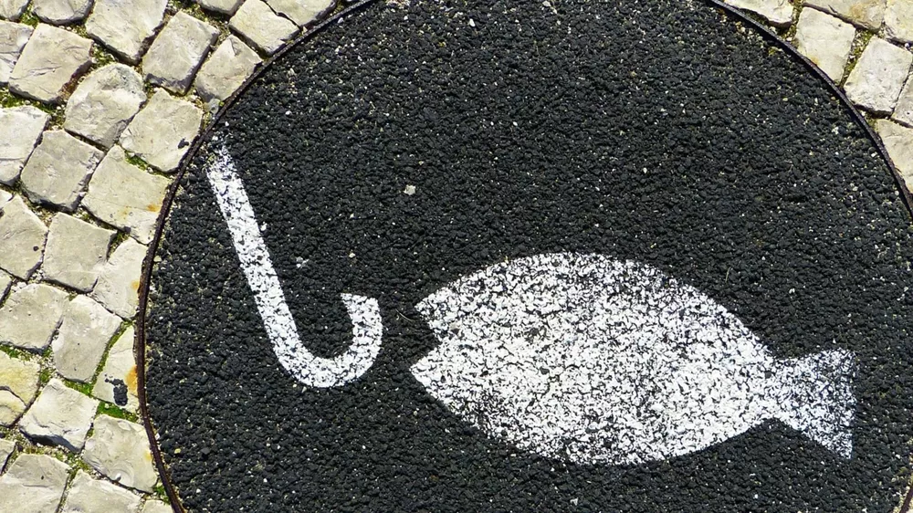 Mejorar el contenido