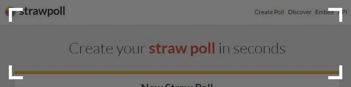 strawpoll interior article