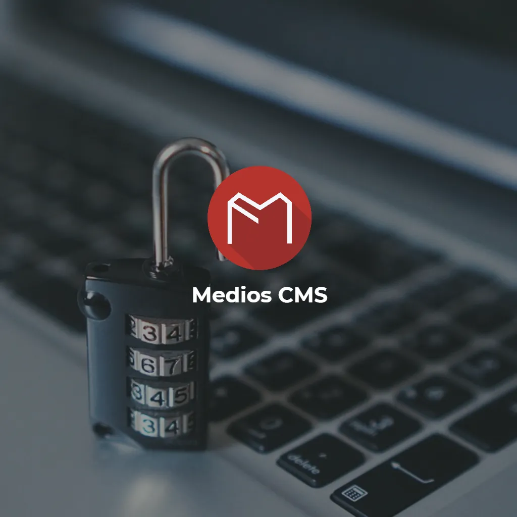 medios cms seguridad